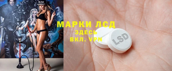 PSILOCYBIN Белокуриха