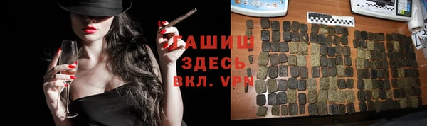 PSILOCYBIN Белокуриха