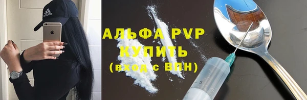 PSILOCYBIN Белокуриха