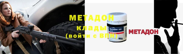 PSILOCYBIN Белокуриха