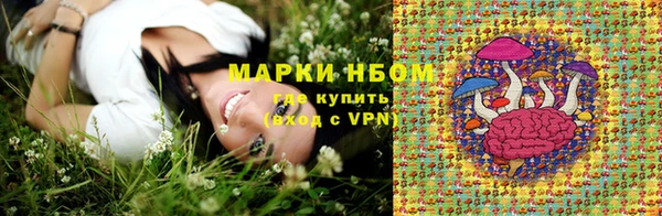 PSILOCYBIN Белокуриха