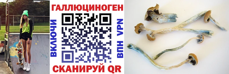 Псилоцибиновые грибы Magic Shrooms ссылка на мегу ссылки Мариинский Посад